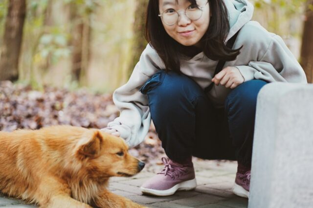 犬と飼い主の信頼関係をイメージした写真