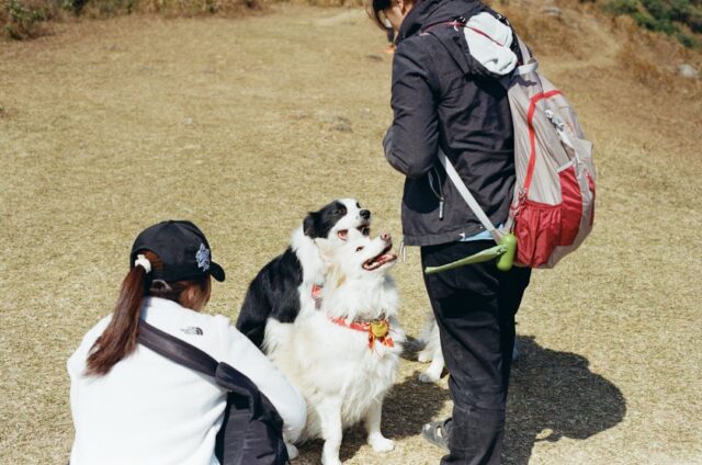 バックパックを背負った飼い主と犬のイメージ