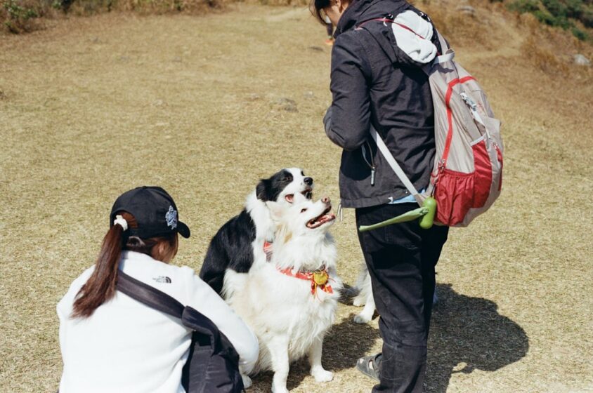 バックパックを背負った飼い主と犬のイメージ