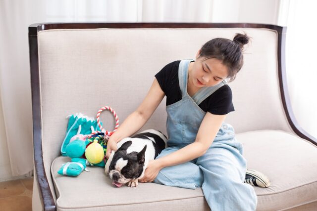 室内で犬と過ごす飼い主のイメージ