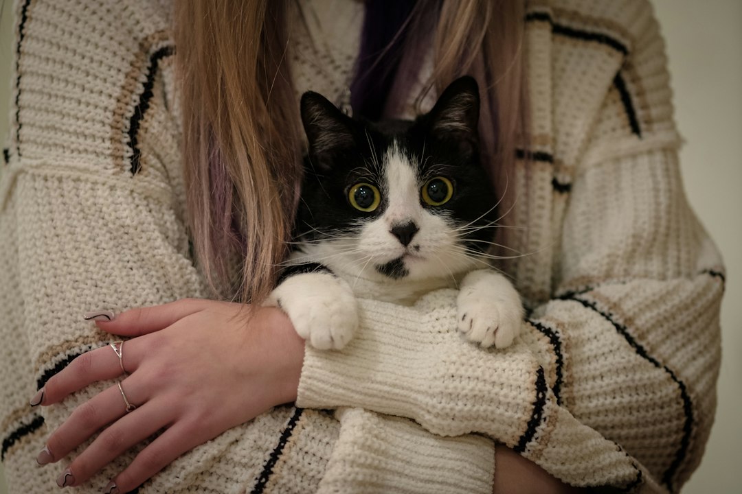 猫を抱く飼い主の日常イメージ