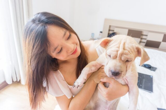 自宅で愛犬と過ごす飼い主のイメージ