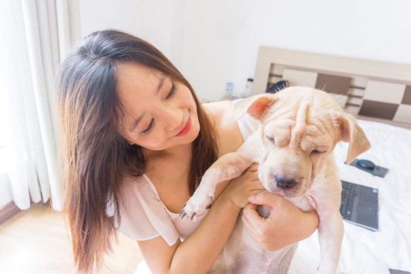 自宅で愛犬と過ごす飼い主のイメージ