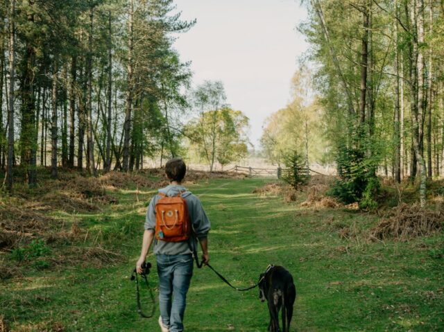 リードを付けた犬と避難経路を歩く飼い主