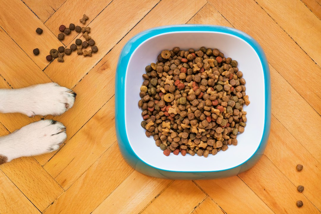 犬のために備蓄するドライフードとフードボウル