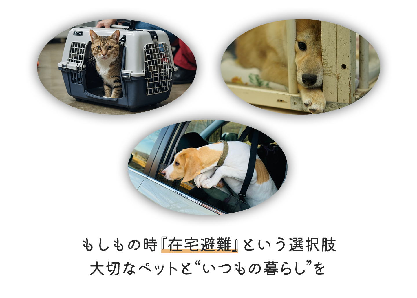 ペットとの在宅避難について
